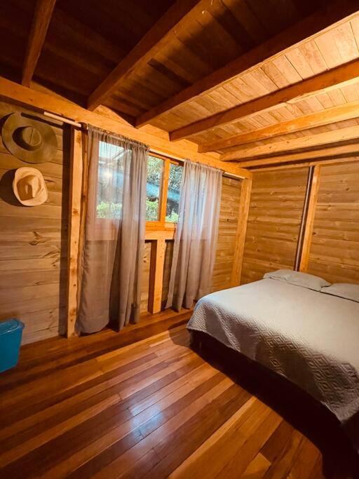 Beehouse Arvi