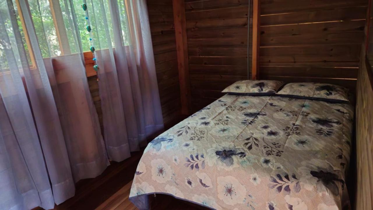 Beehouse Arvi Hébergement de vacances *